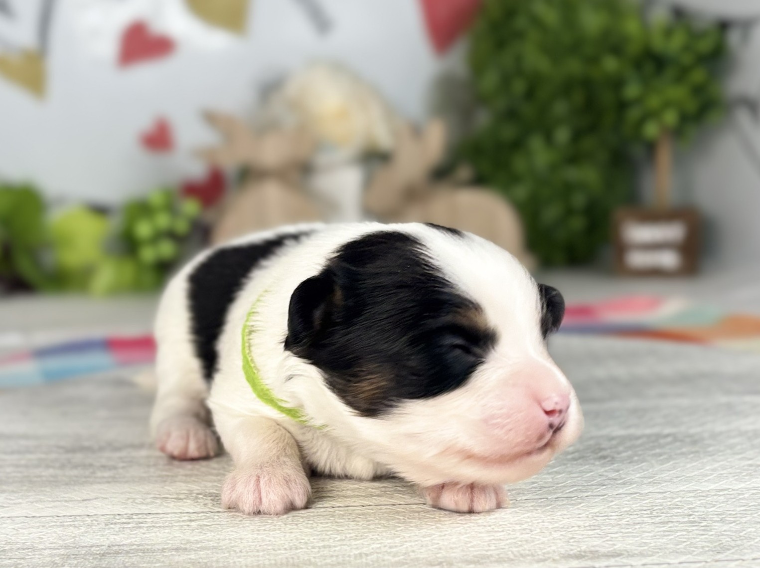 赤ちゃん写真1-1