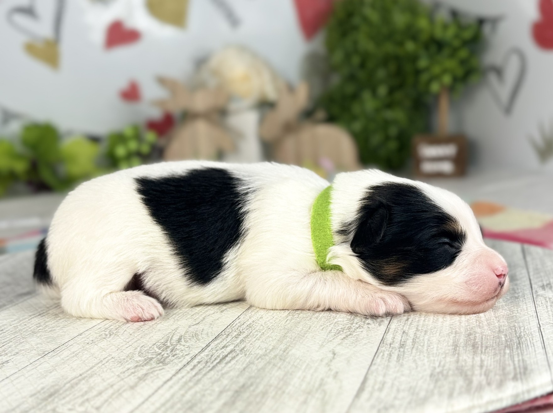 赤ちゃん写真1-2