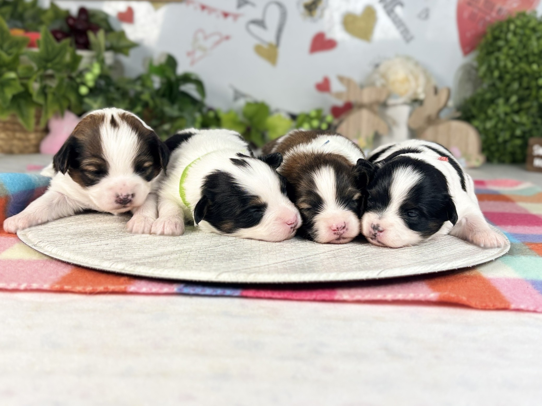 赤ちゃん写真1-3