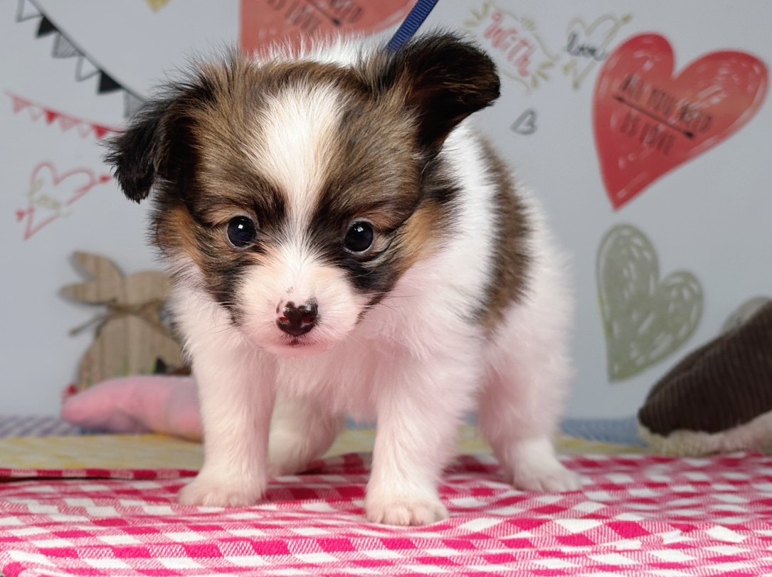 赤ちゃん写真2-1