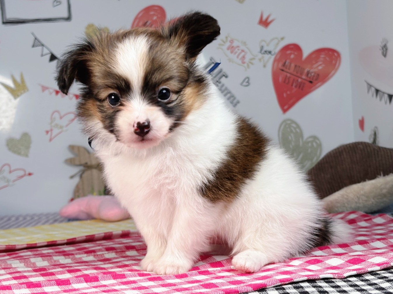 赤ちゃん写真2-2