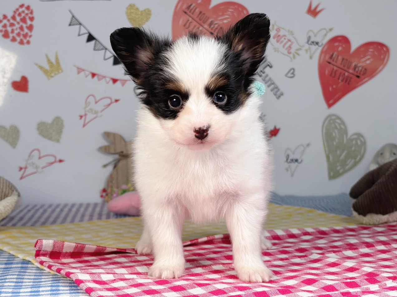 赤ちゃん写真2-1