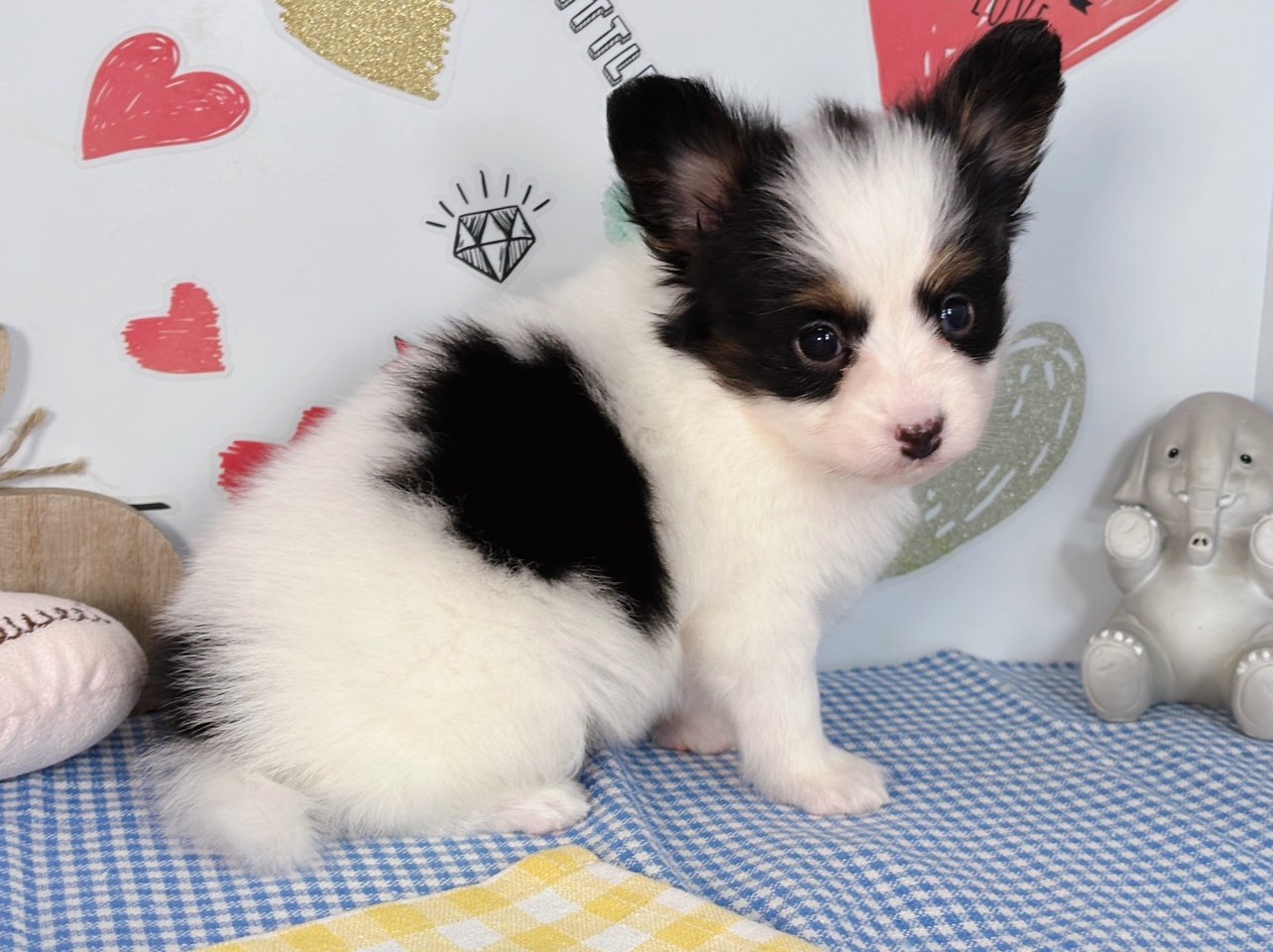 赤ちゃん写真2-2