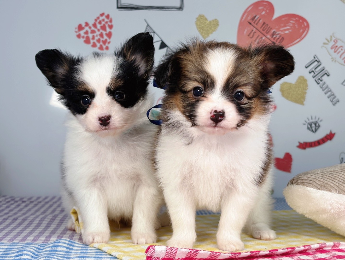 赤ちゃん写真2-3