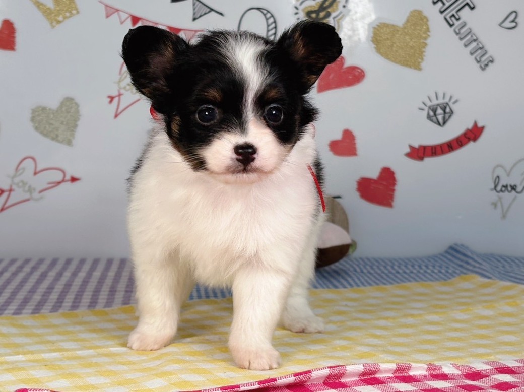 赤ちゃん写真2-1