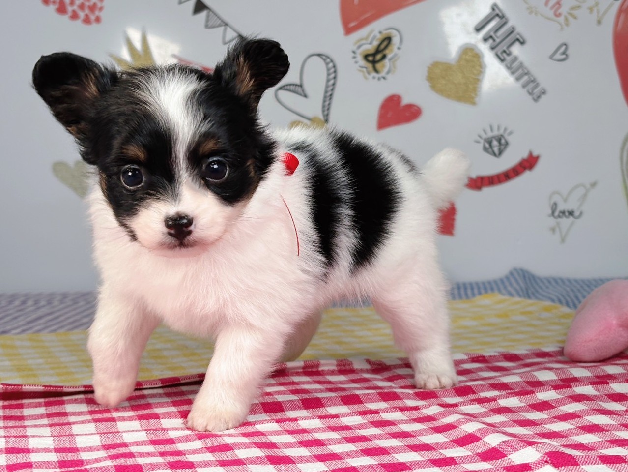 赤ちゃん写真2-2