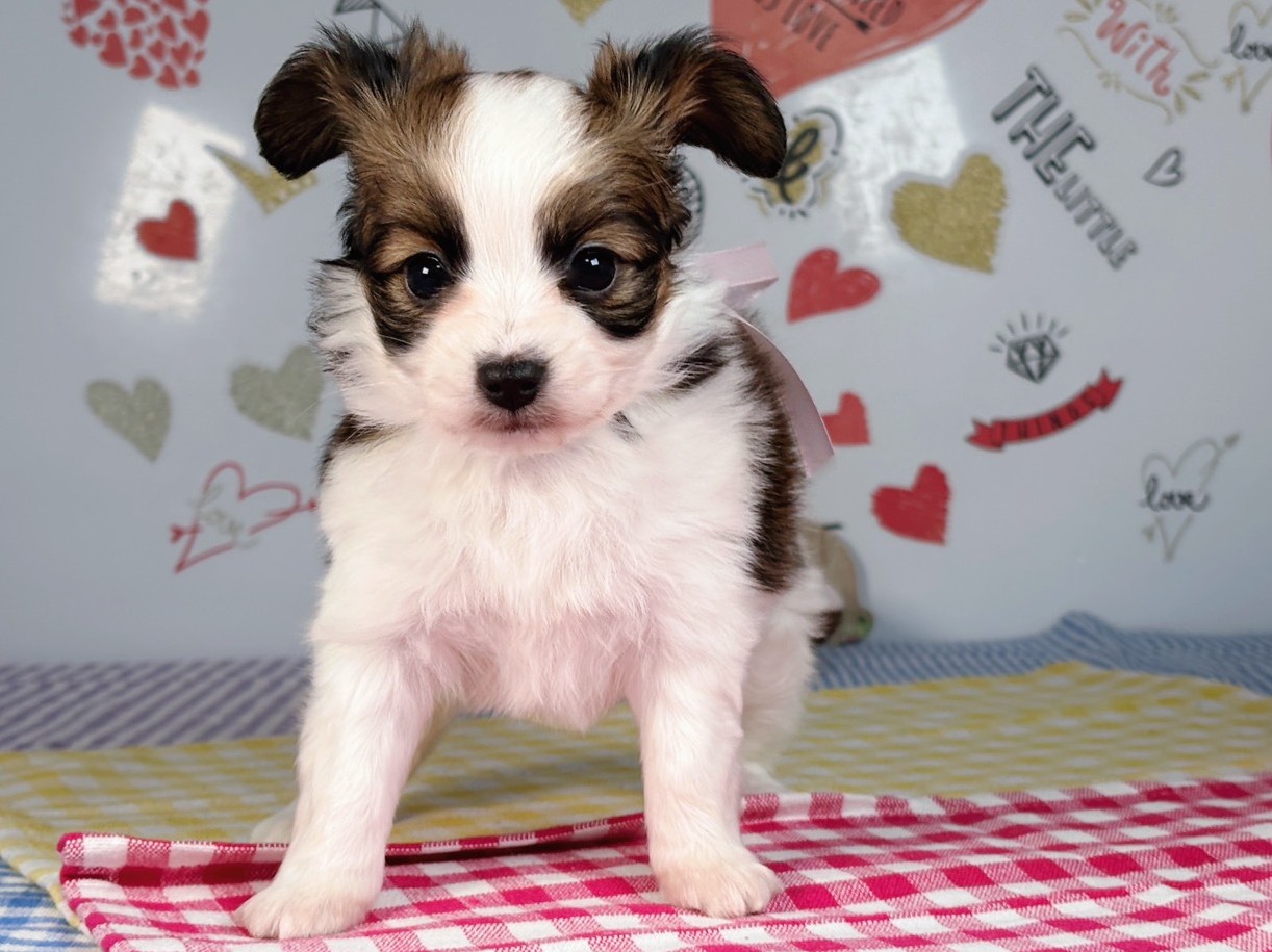 赤ちゃん写真2-1