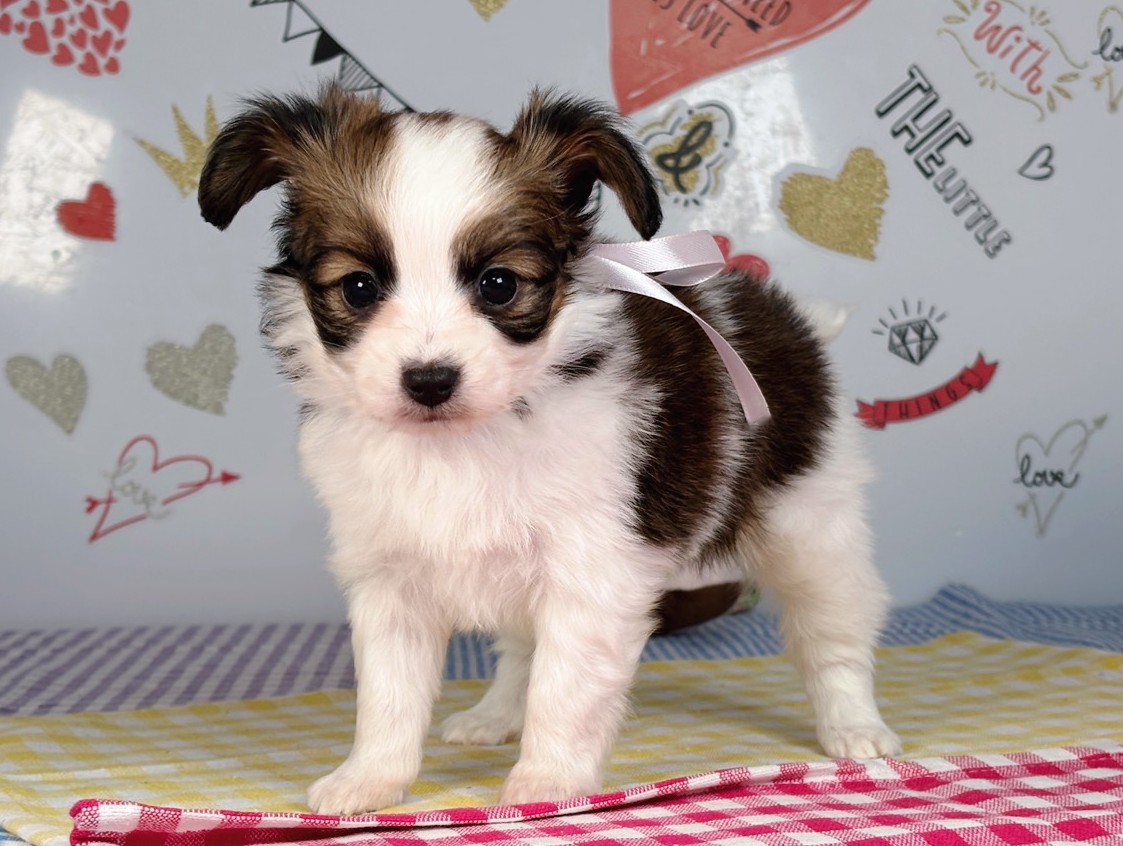 赤ちゃん写真2-2