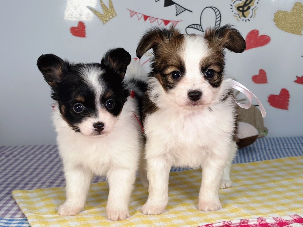 赤ちゃん写真2-3