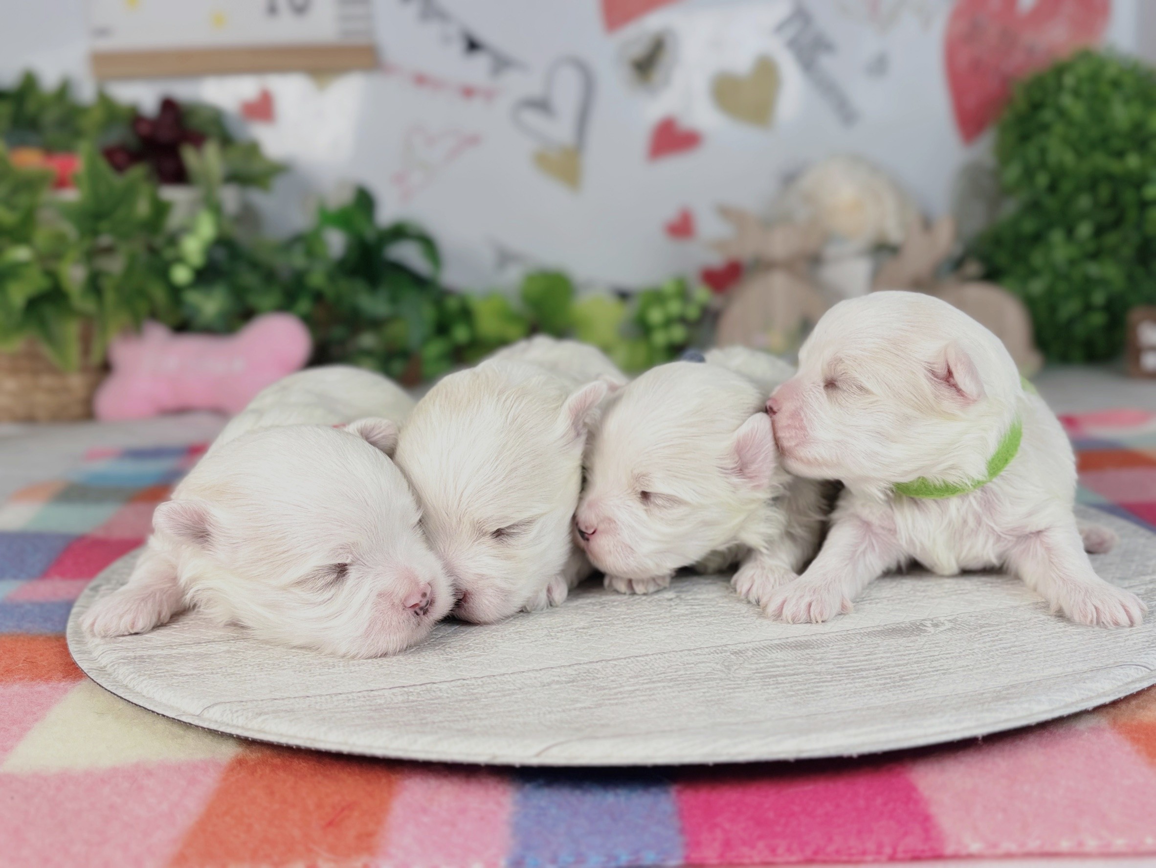 赤ちゃん写真1-3