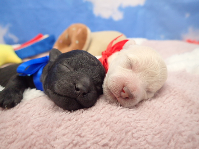 赤ちゃん写真1-3