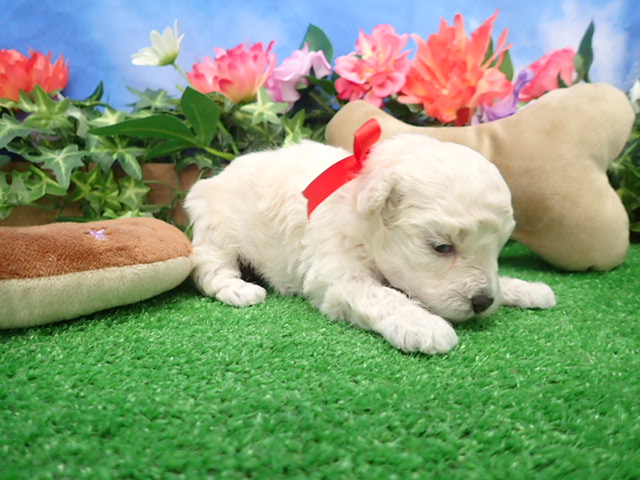 赤ちゃん写真2-2