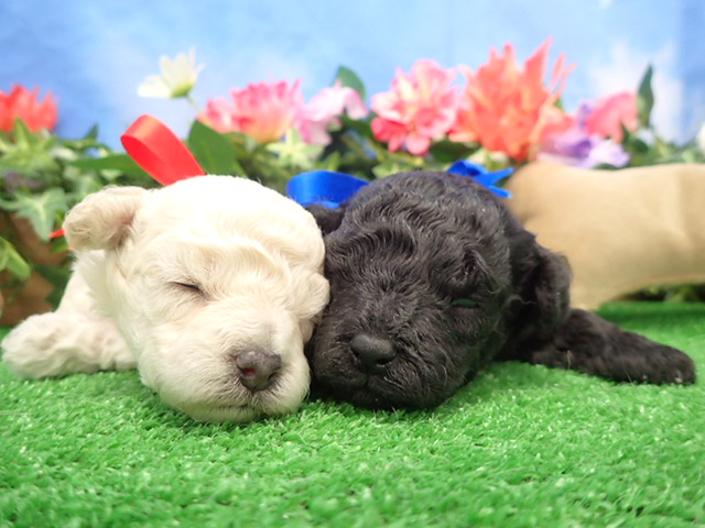 赤ちゃん写真2-3