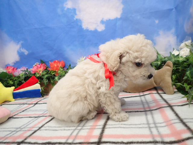 赤ちゃん写真3-2