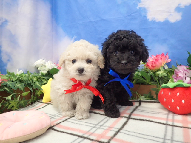 赤ちゃん写真3-3