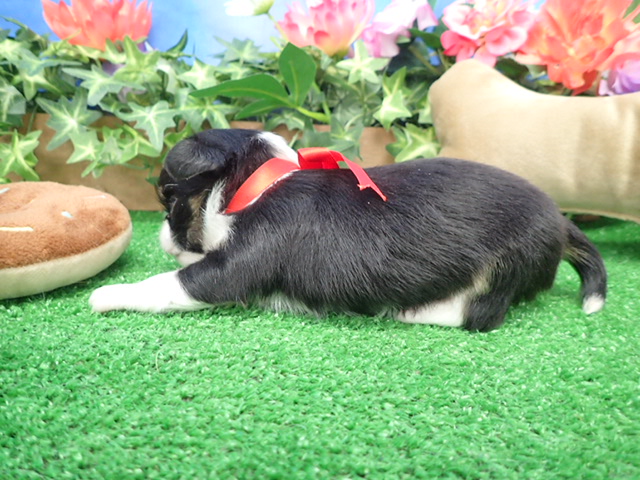赤ちゃん写真2-2
