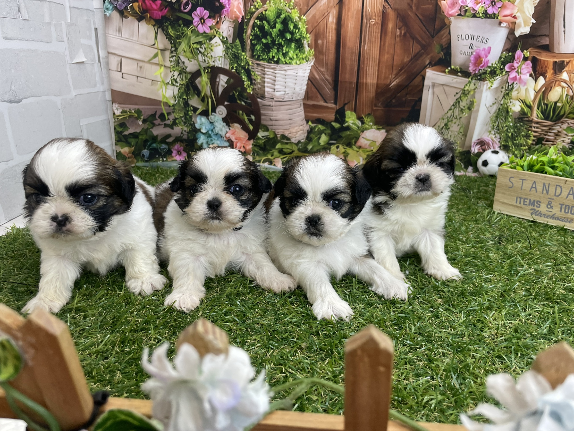 赤ちゃん写真2-3