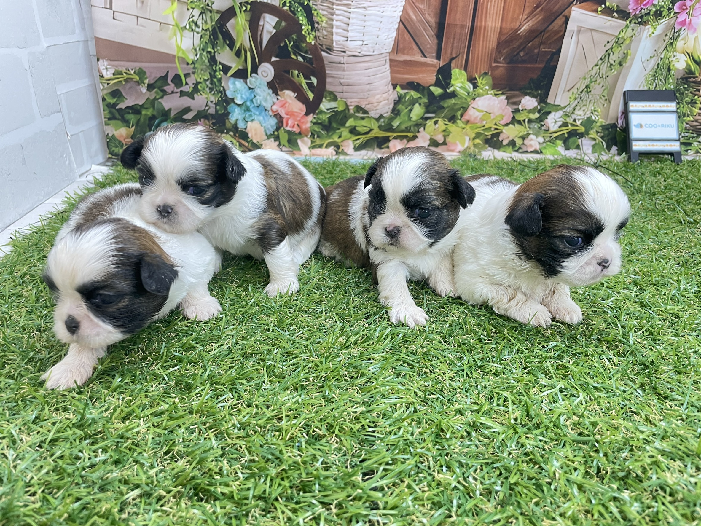 赤ちゃん写真1-3