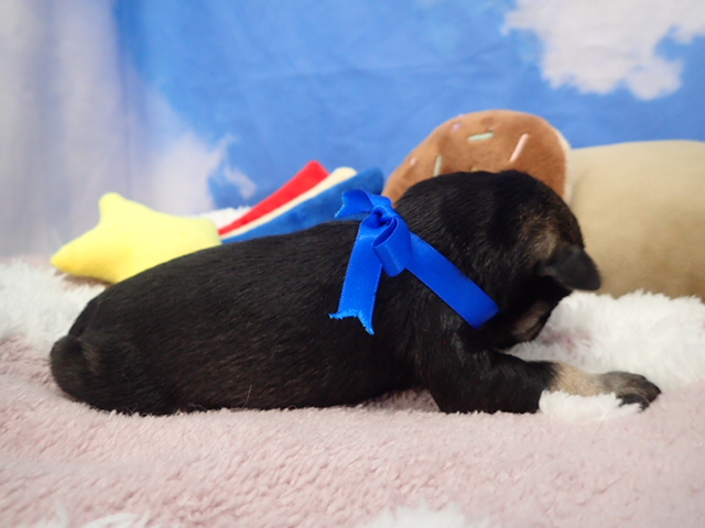 赤ちゃん写真1-2