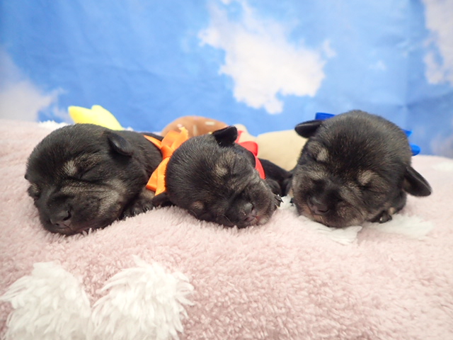 赤ちゃん写真1-3