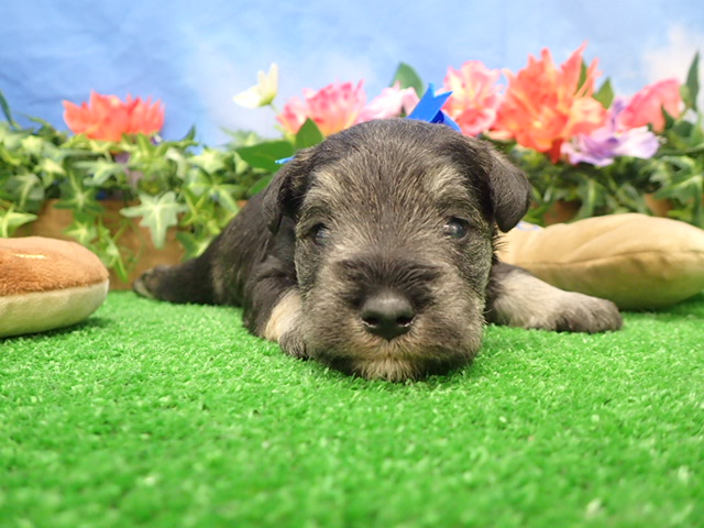 赤ちゃん写真2-1