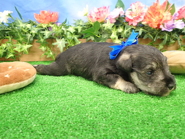 赤ちゃん写真2-2