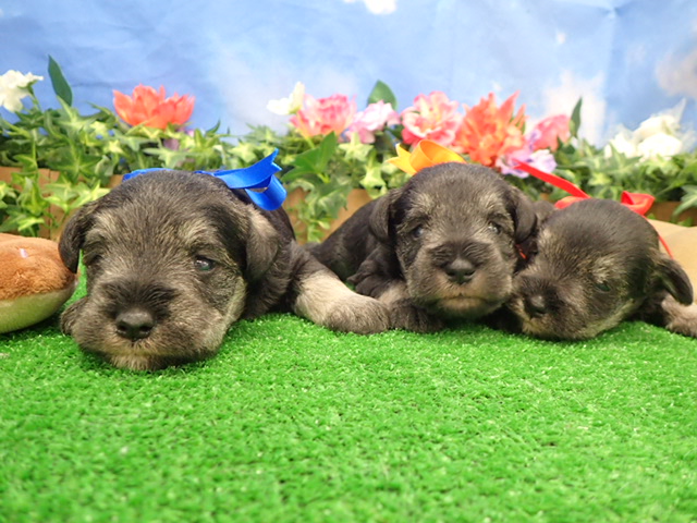 赤ちゃん写真2-3