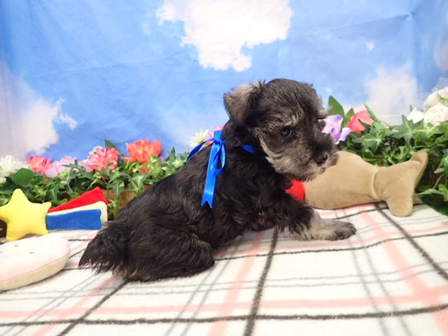 赤ちゃん写真3-2