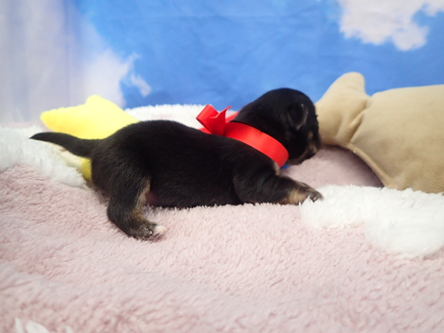 赤ちゃん写真1-2