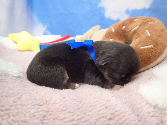 赤ちゃん写真1-2