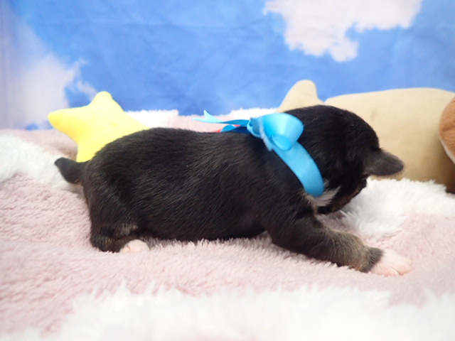 赤ちゃん写真1-2