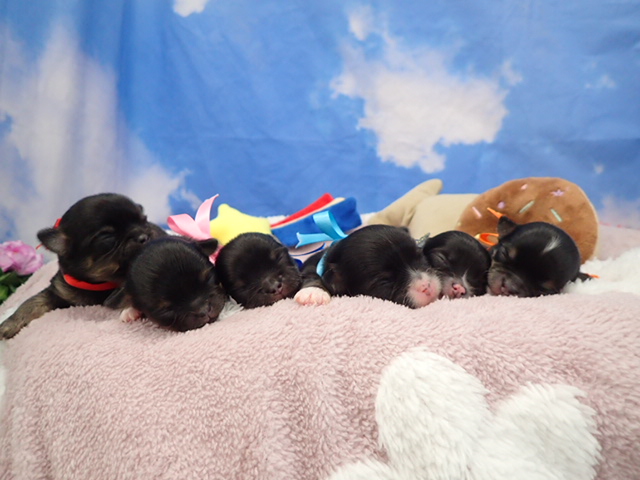 赤ちゃん写真1-3