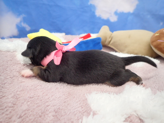 赤ちゃん写真1-2