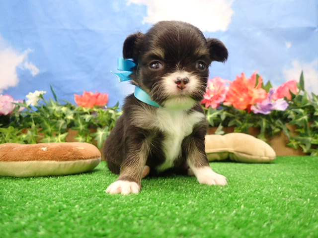 赤ちゃん写真2-1