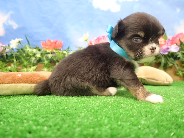 赤ちゃん写真2-2