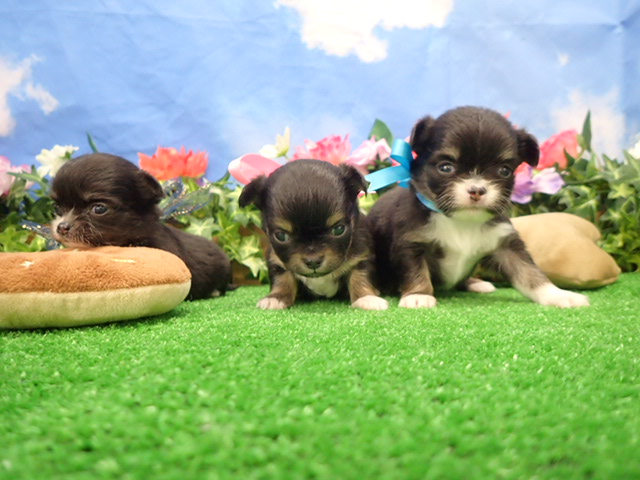 赤ちゃん写真2-3