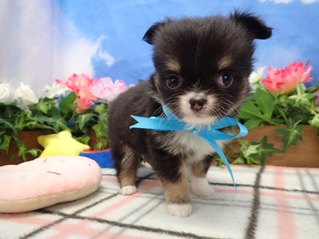 赤ちゃん写真3-1