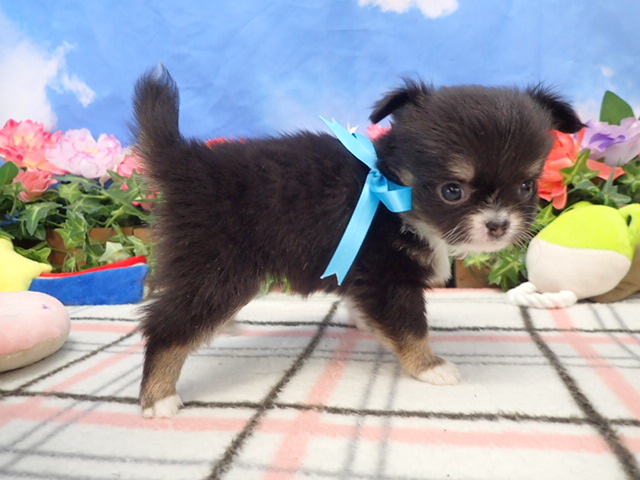 赤ちゃん写真3-2