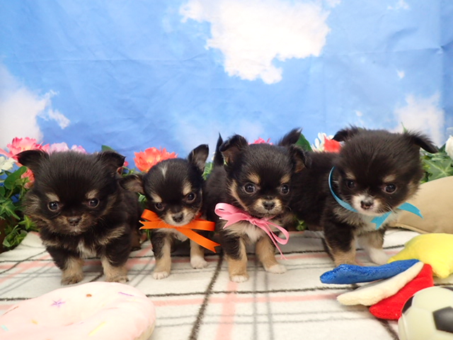 赤ちゃん写真3-3