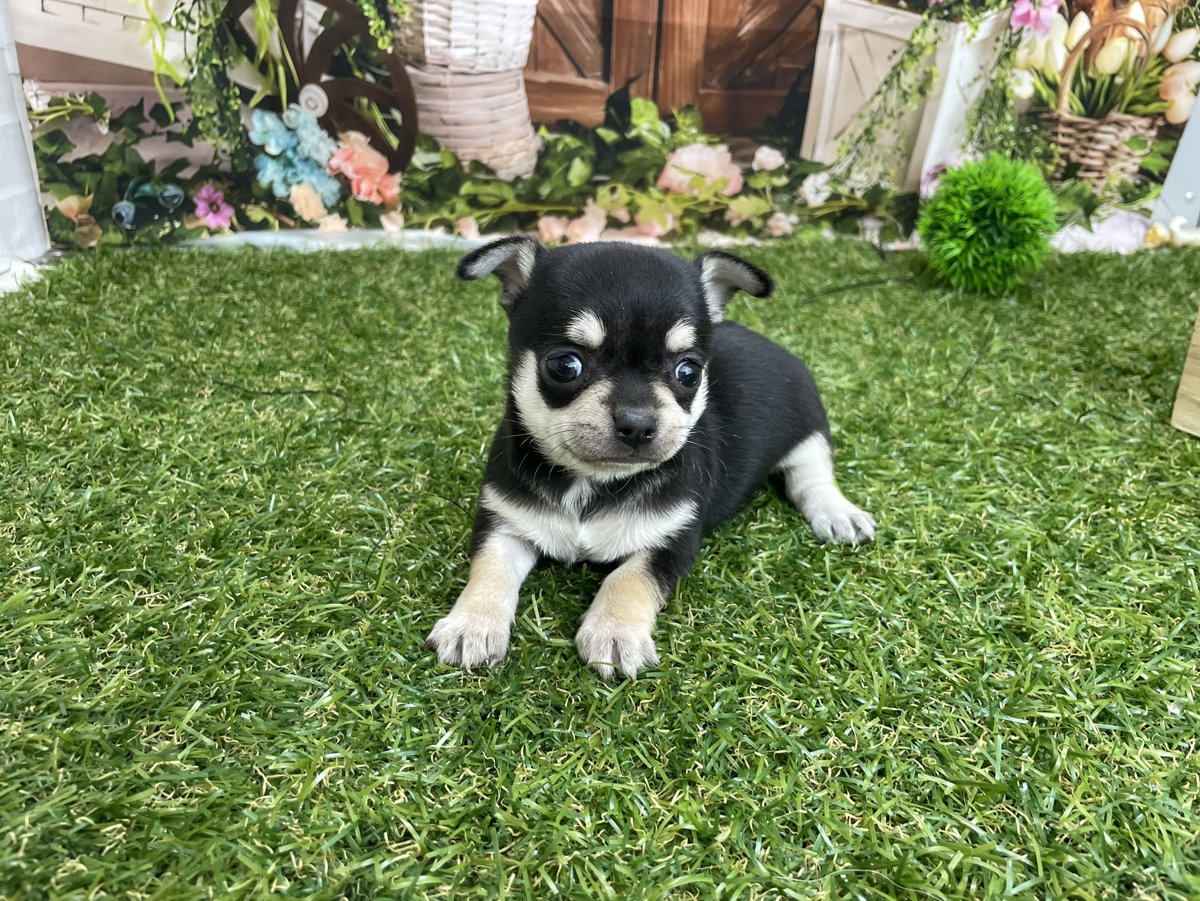 赤ちゃん写真2-2