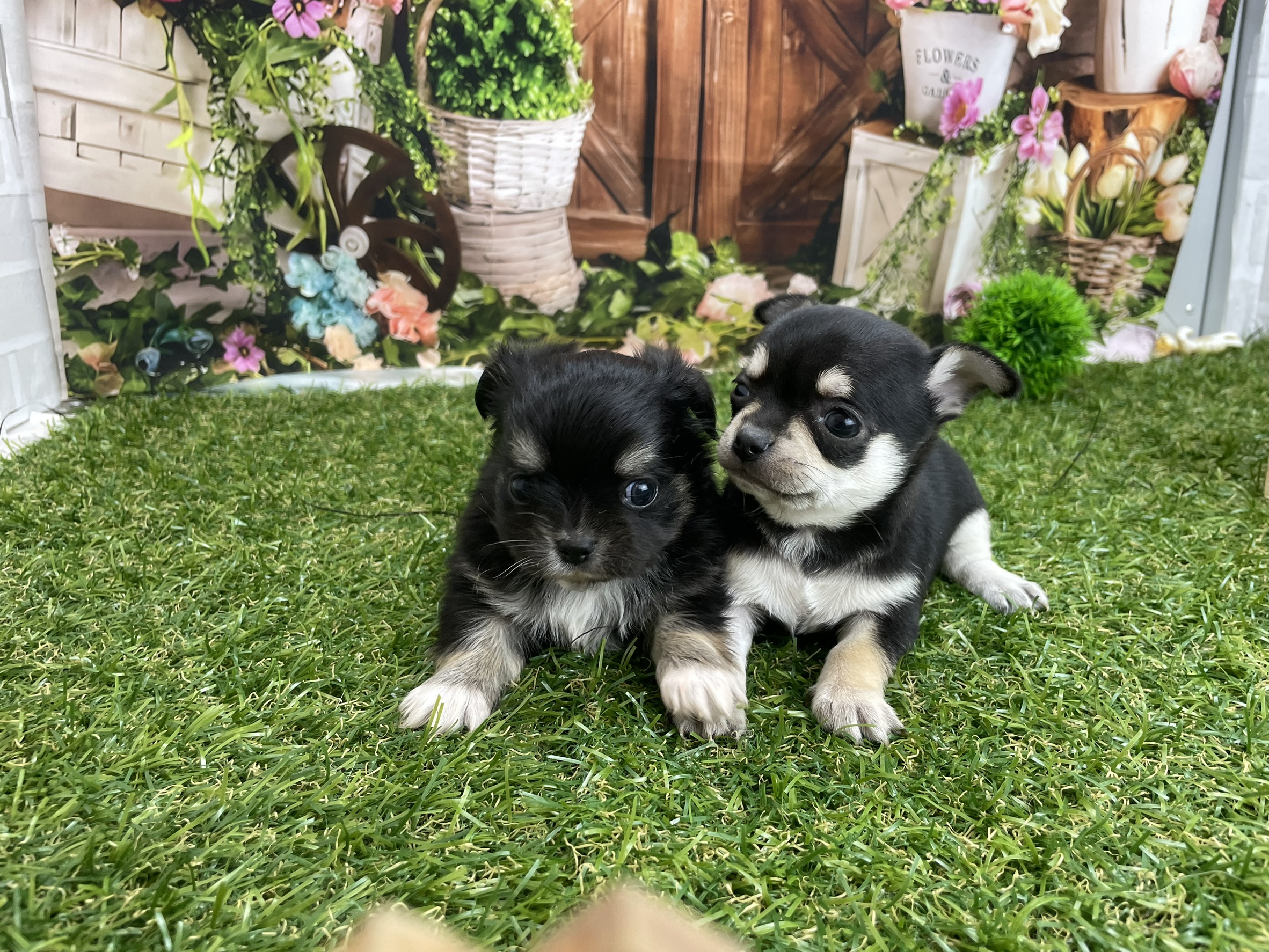 赤ちゃん写真2-3