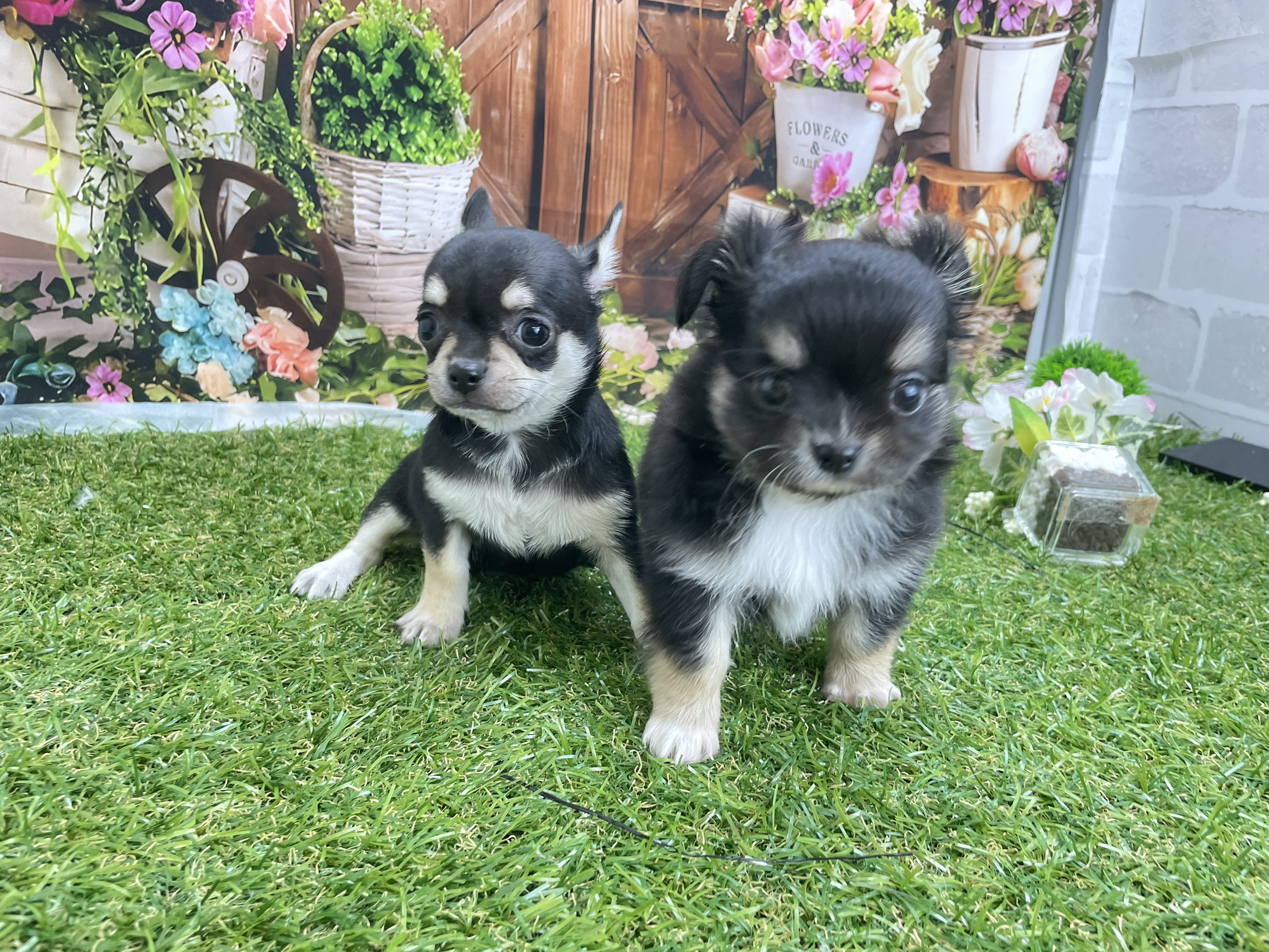 赤ちゃん写真3-3