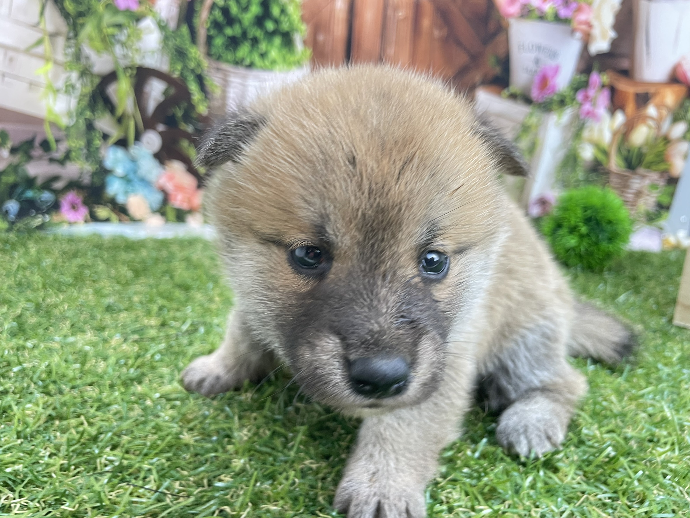 赤ちゃん写真2-2