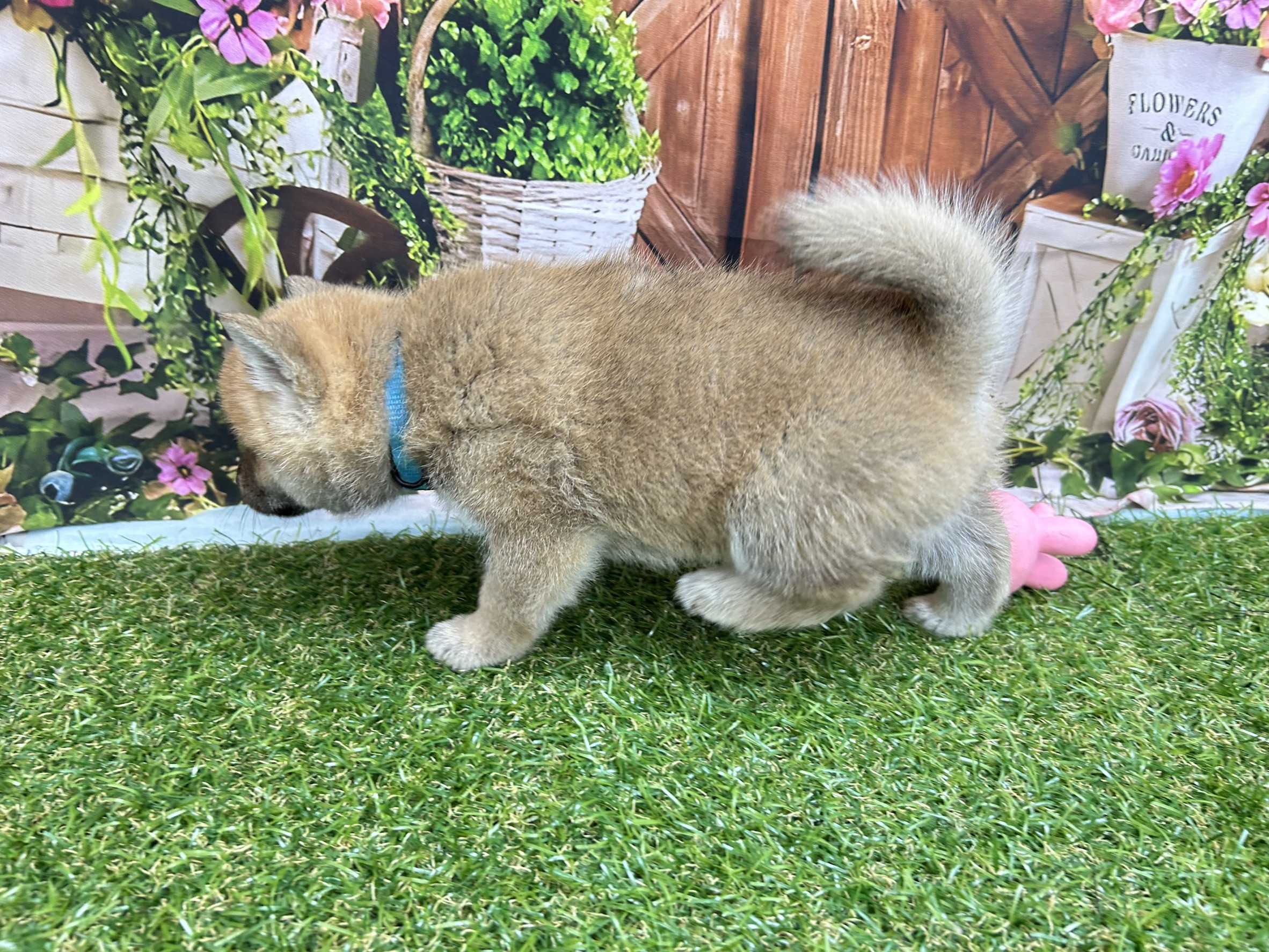 赤ちゃん写真3-2