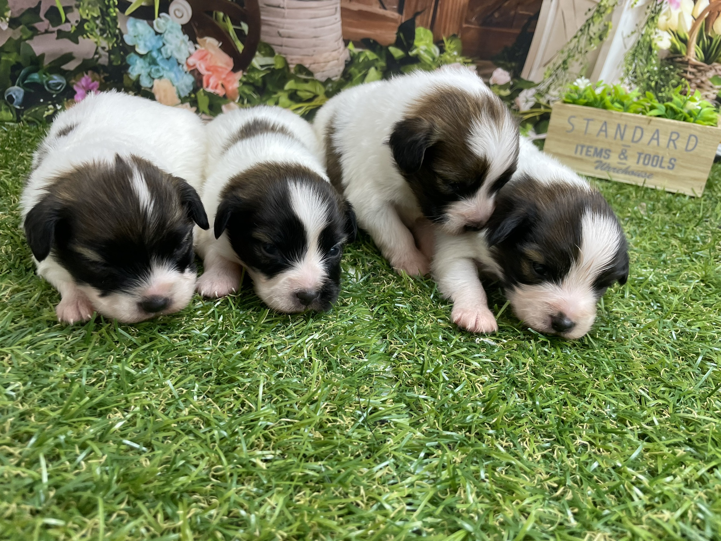 赤ちゃん写真1-3