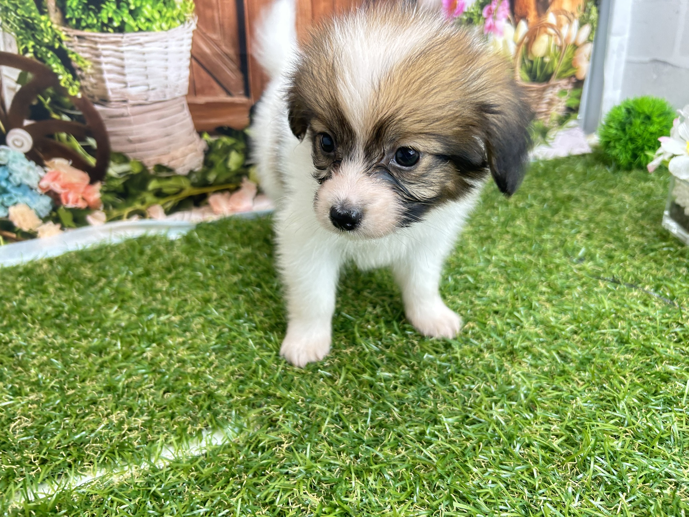 赤ちゃん写真2-1