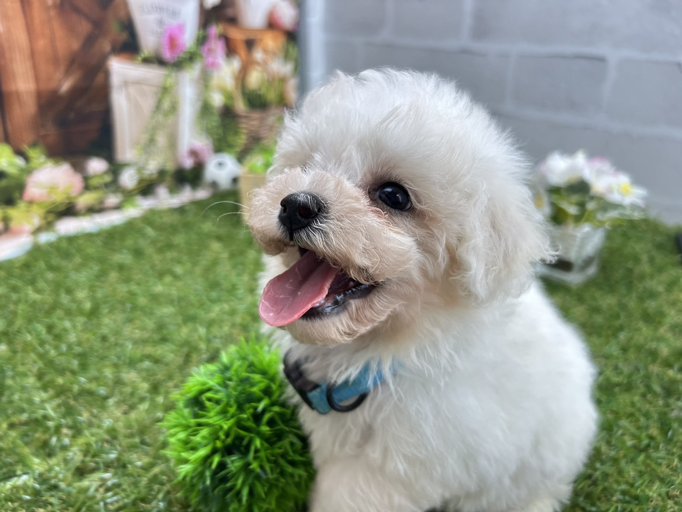 赤ちゃん写真3-2