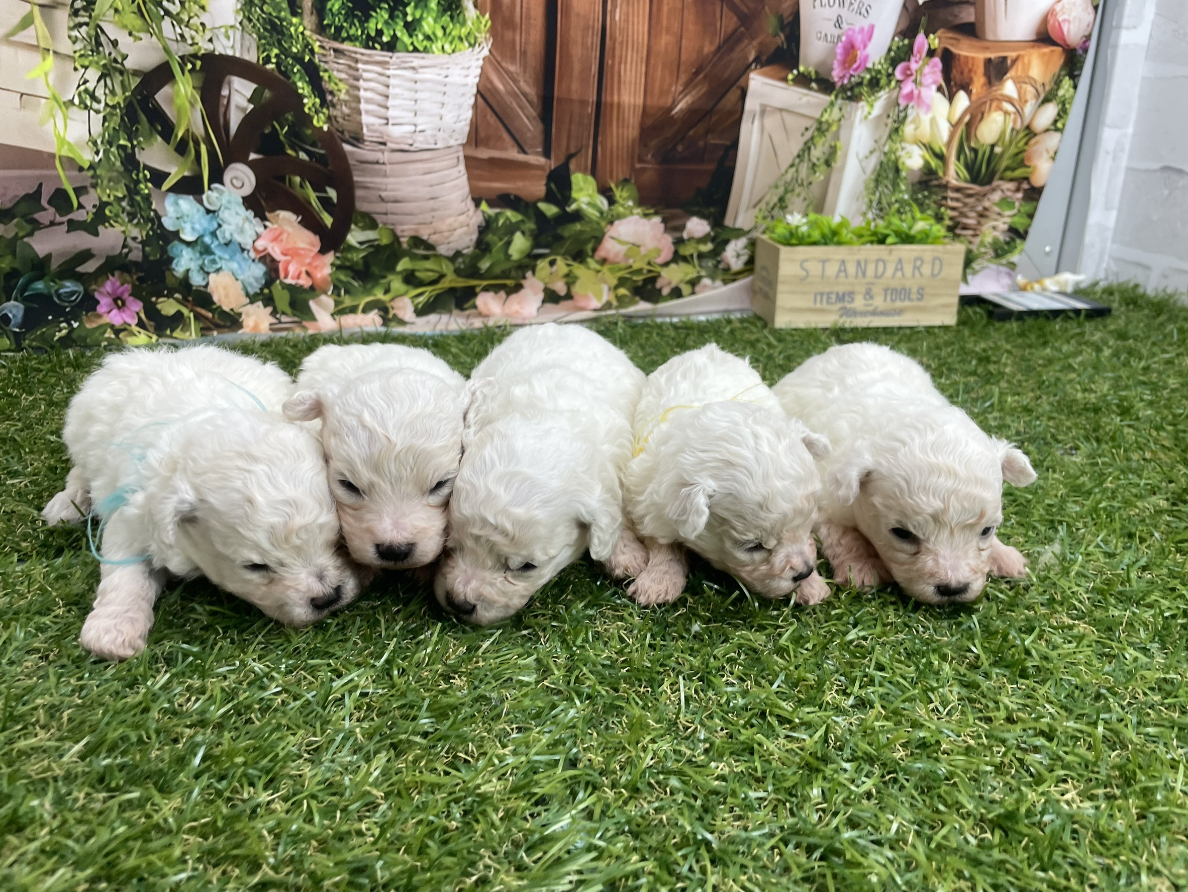 赤ちゃん写真1-3