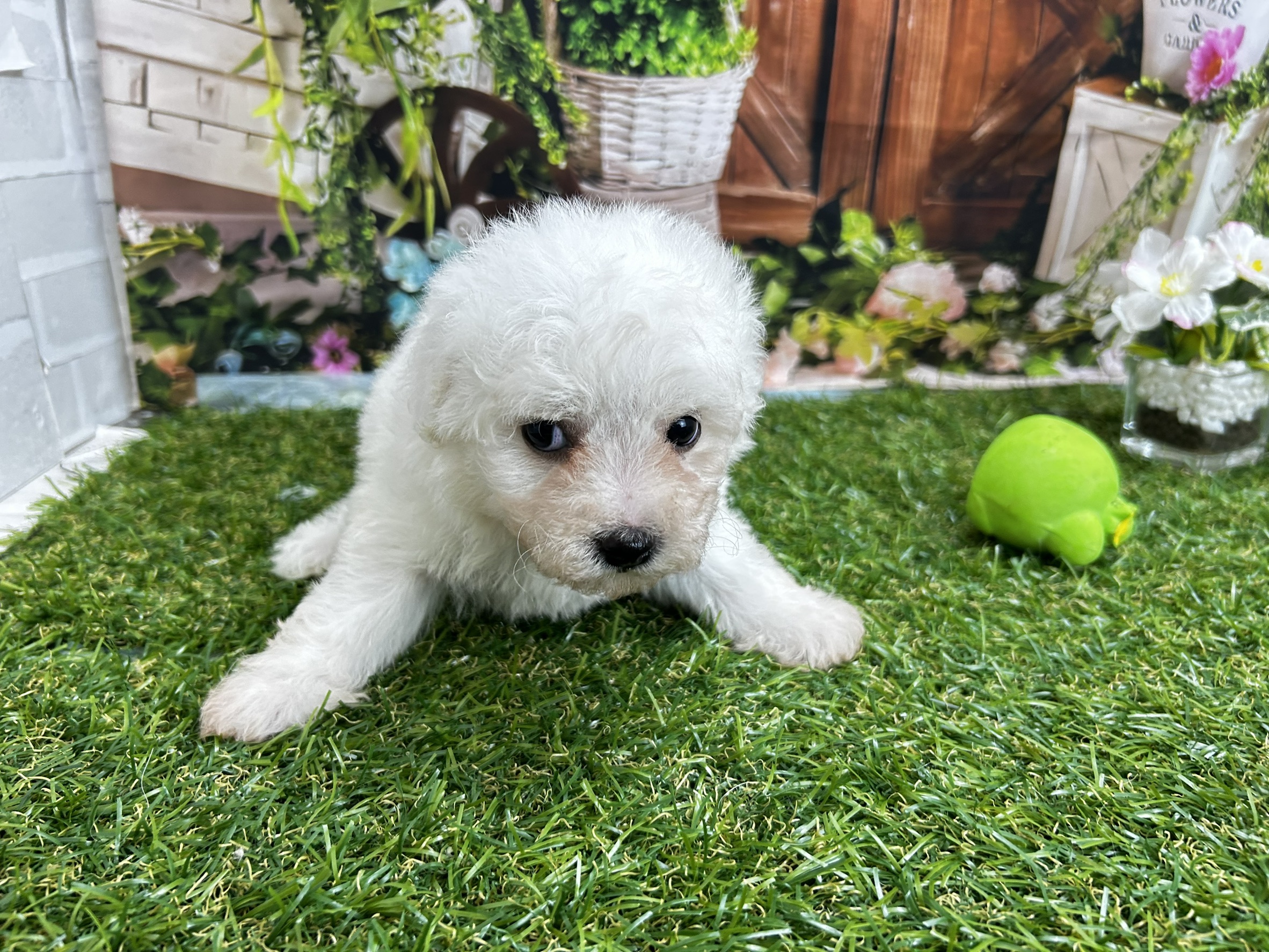 赤ちゃん写真2-1