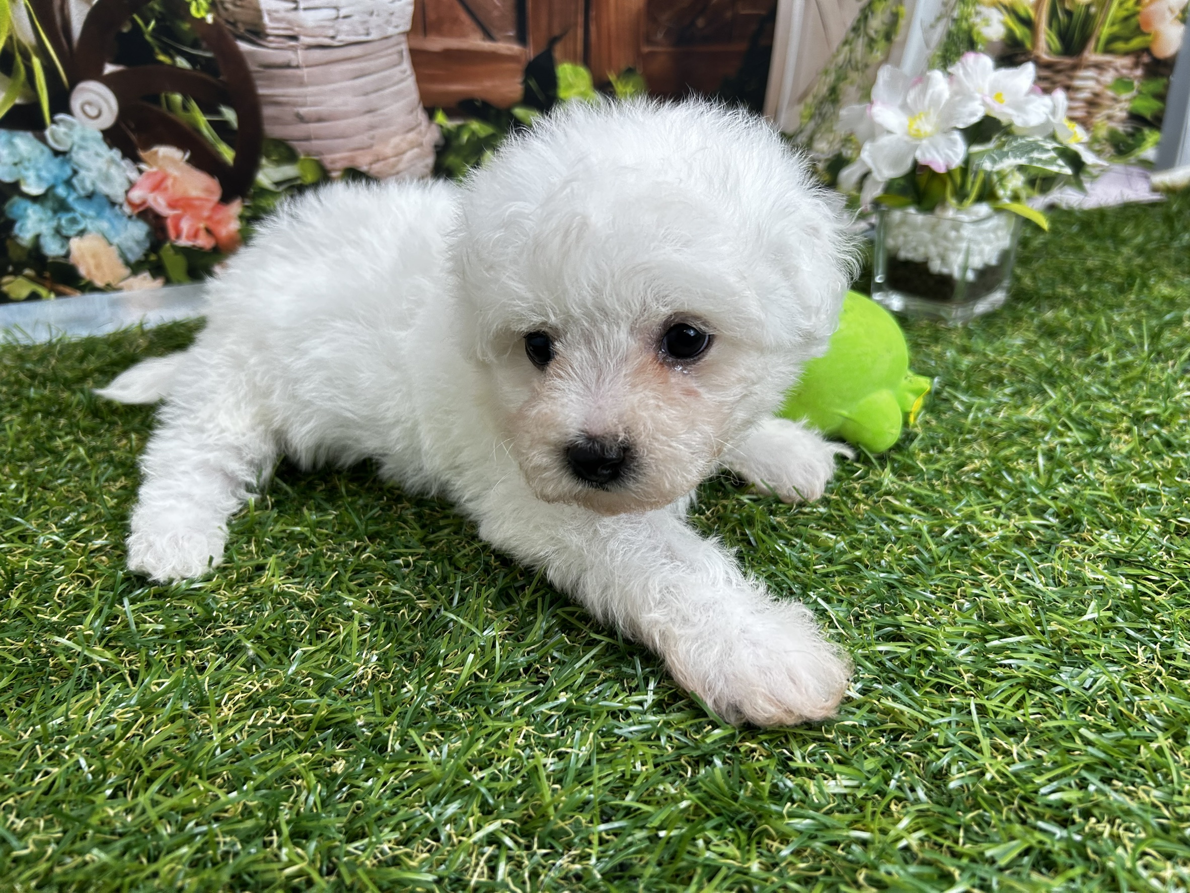 赤ちゃん写真2-2